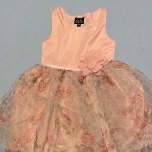 Rose fluffy dress